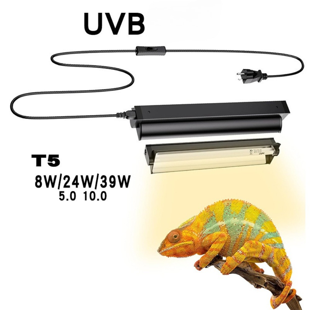 Planted and Reptile Terrarium  - Grow Light T5 บทวิจารณ์และราคา