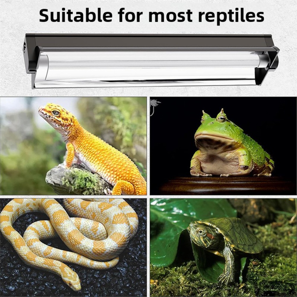 Planted and Reptile Terrarium  - Grow Light T5 บทวิจารณ์และราคา