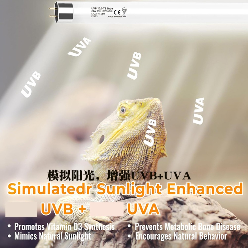 Planted and Reptile Terrarium  - Grow Light T5 บทวิจารณ์และราคา